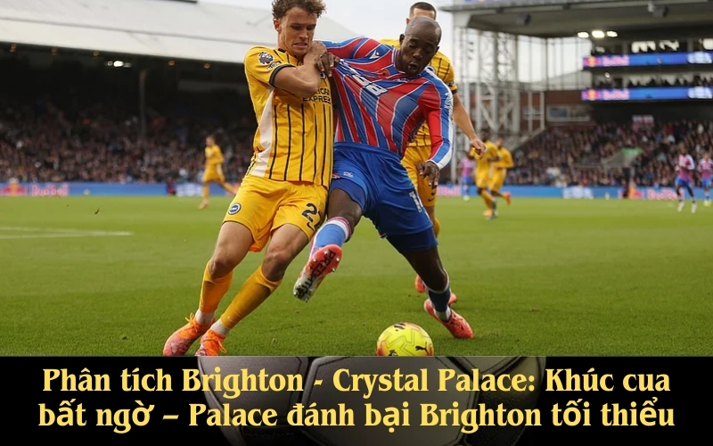 Phân tích Brighton - Crystal Palace Khúc cua bất ngờ – Palace đánh bại Brighton tối thiểu